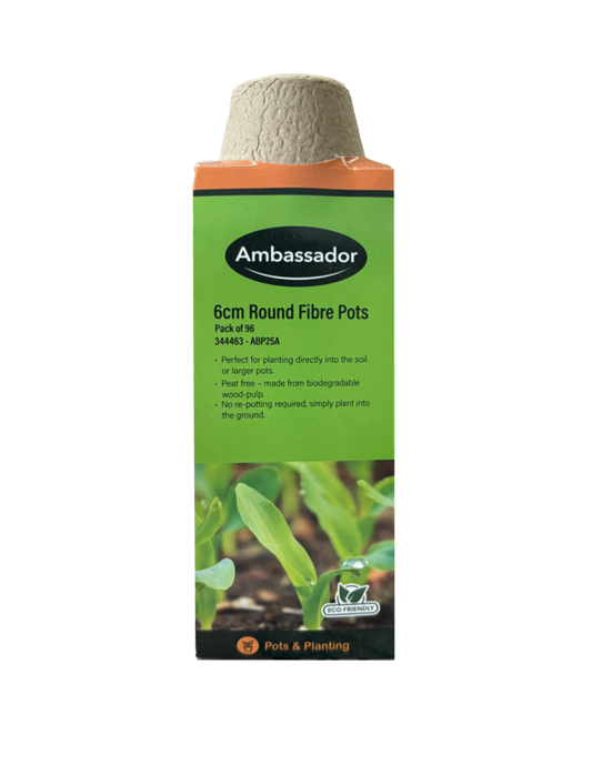 Ambassador Round Fibre Pots 6cm - Pack 96