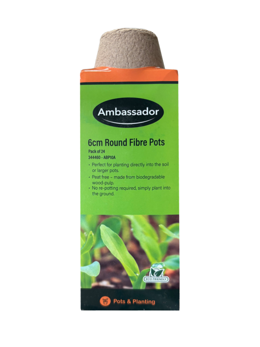 Ambassador Round Fibre Pots 6cm - Pack 24