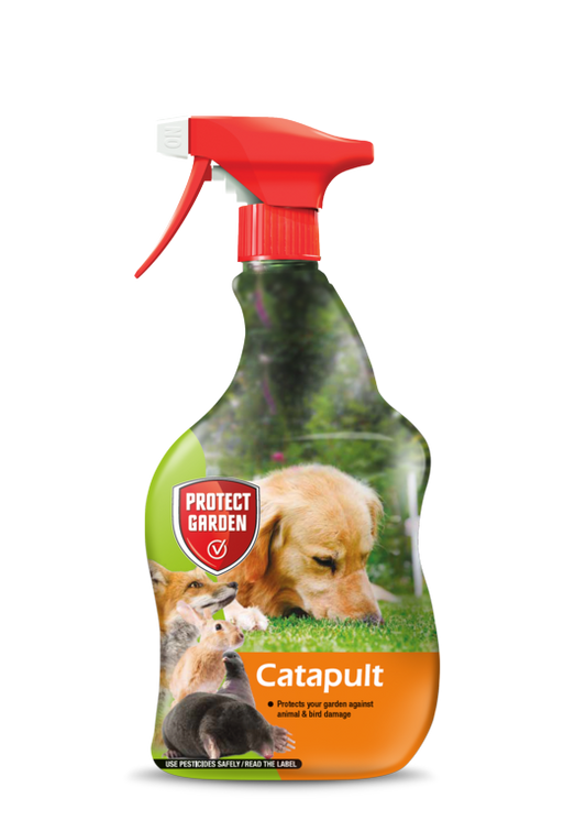 Cat-a-pult