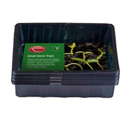 Ambassador Seed Tray Medium Pack 5