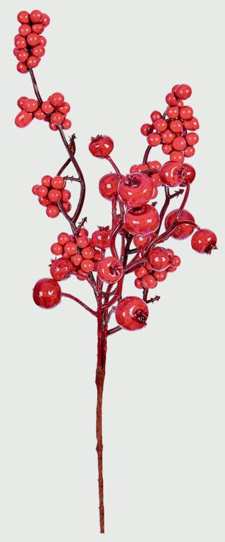 Premier Red Berry Picks