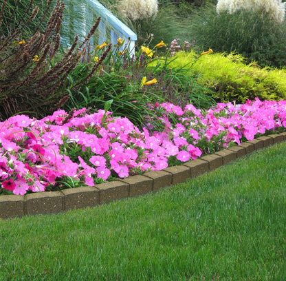 Primeur Roman Stone Border