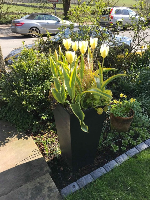 Primeur Sonata Planter