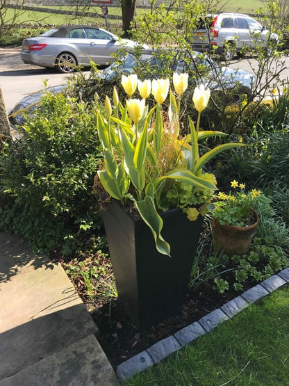 Primeur Sonata Planter