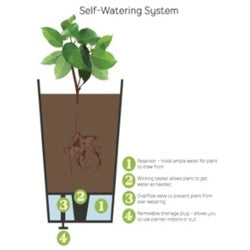 Primeur Sonata Planter
