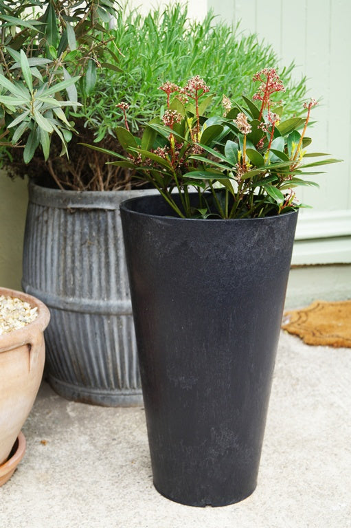 Primeur Concerto Planter