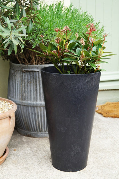 Primeur Concerto Planter