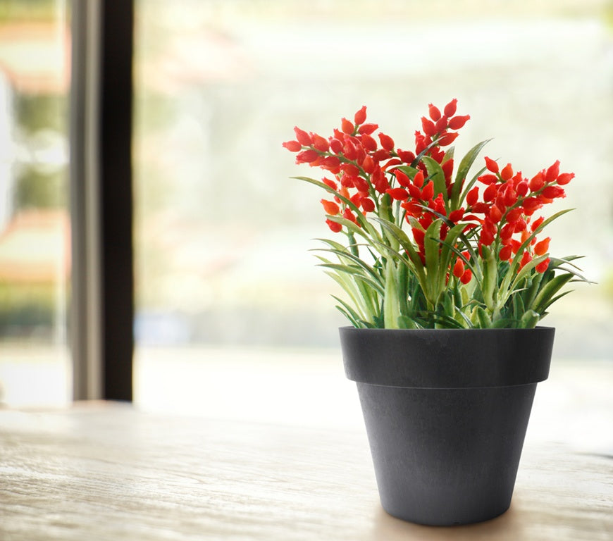 Primeur Baritone Planter