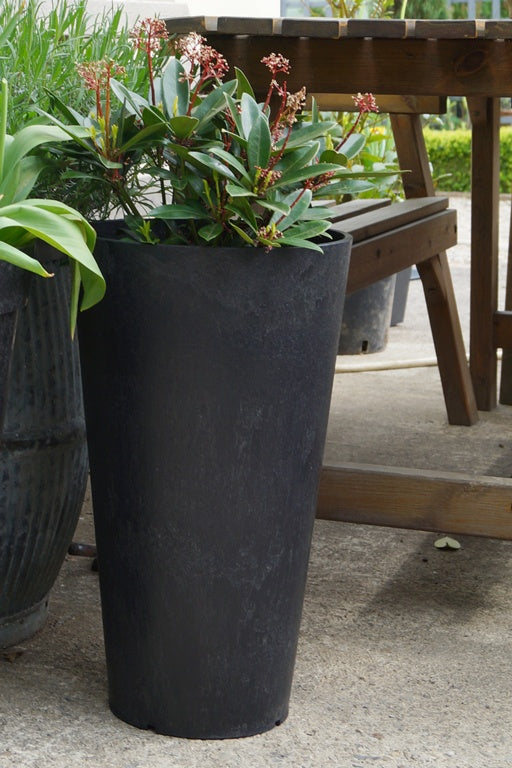 Primeur Concerto Planter