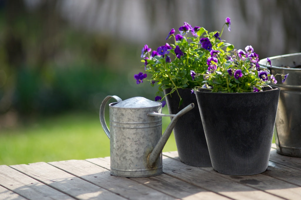 Primeur Octavia Planter