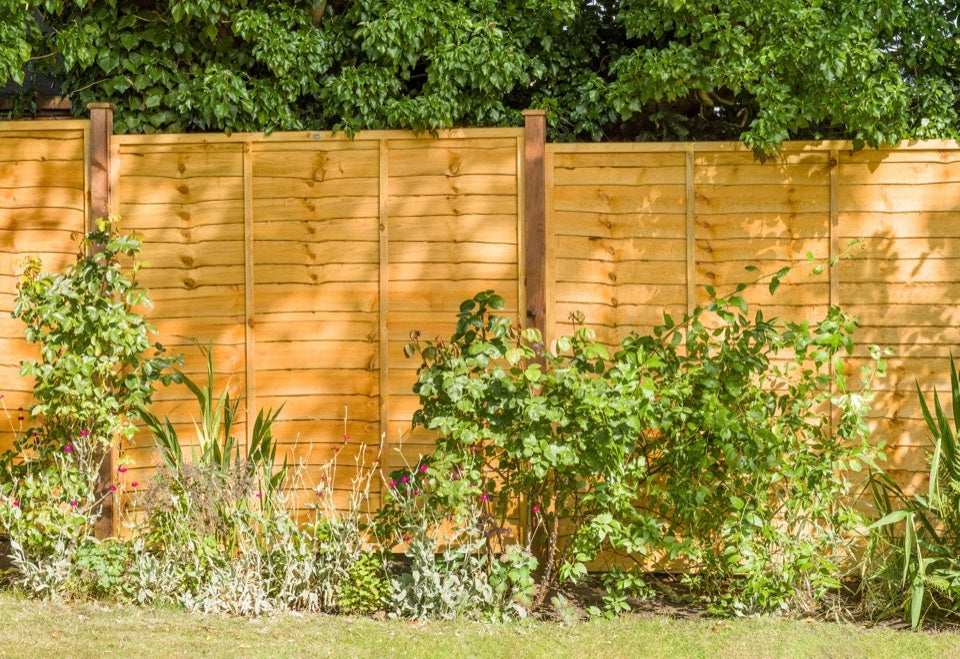 Grange Pressure Treated Fence Panel 1.83m x 180cm