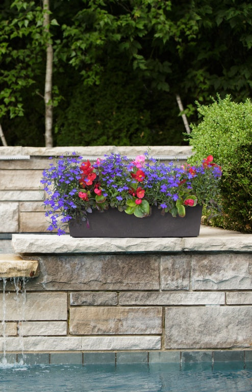 Primeur Sonata Trough