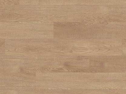 Palio Rigid Tavolara