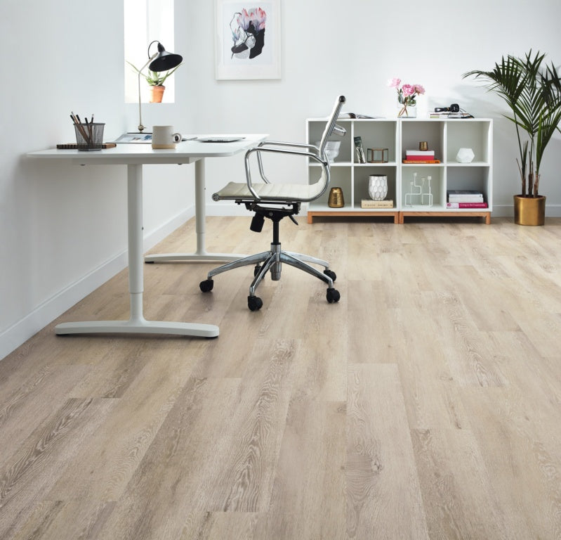 Palio Rigid Palmaria