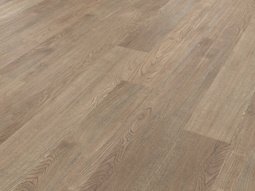 Palio Rigid Budelli