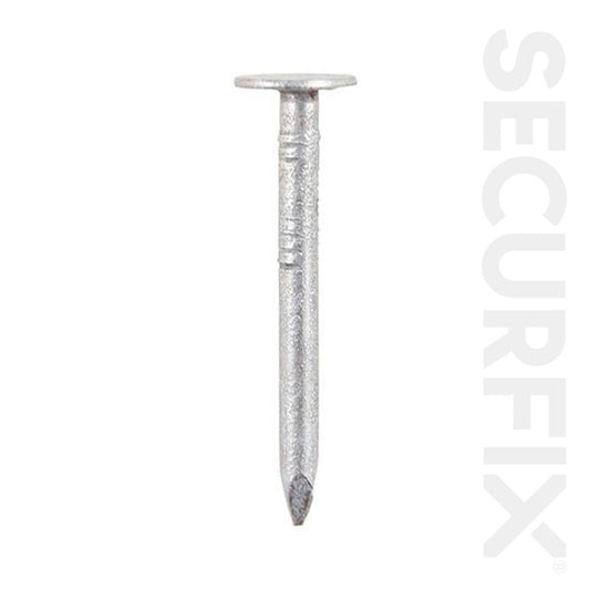 Securfix Clout Nails Galvanised 30mm 500g