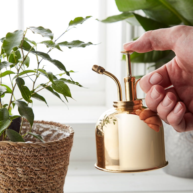 Ambassador Brass Mist Sprayer