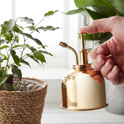 Ambassador Brass Mist Sprayer