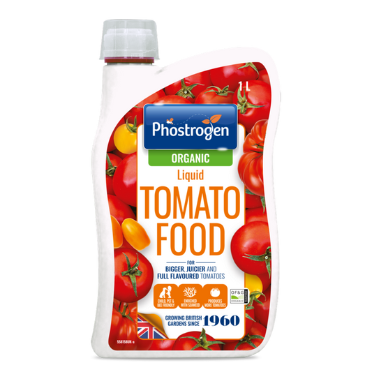 Organic Tomato Food