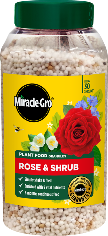 Miracle-GroÂ® Rose & Shrub Continuous Release Plant Food