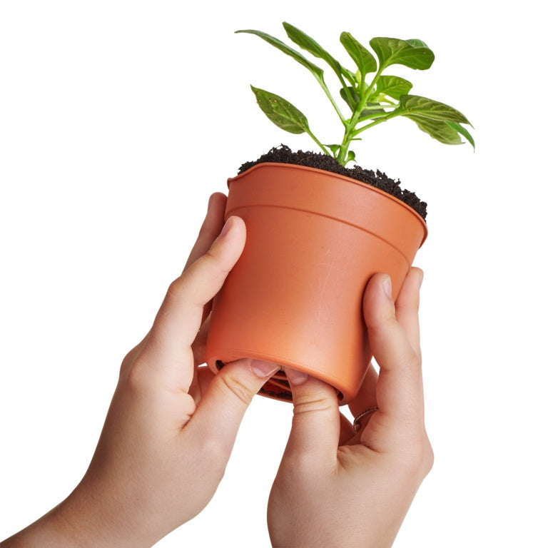 Clever Pots Easy Release Pot 7.6cm