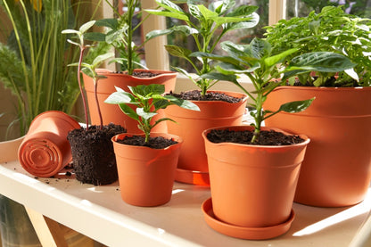 Clever Pots Easy Release Pot 7.6cm