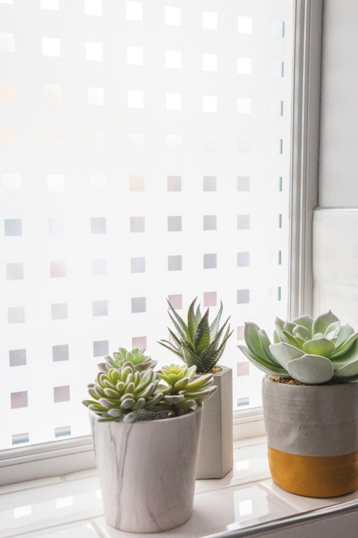 d-c-fixÂ® Window Static Caree