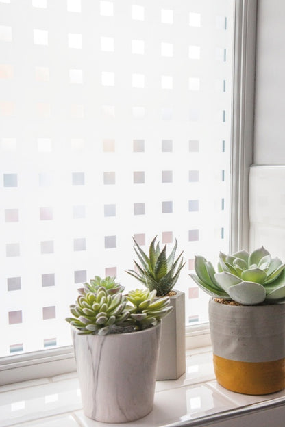 d-c-fixÂ® Window Static Caree