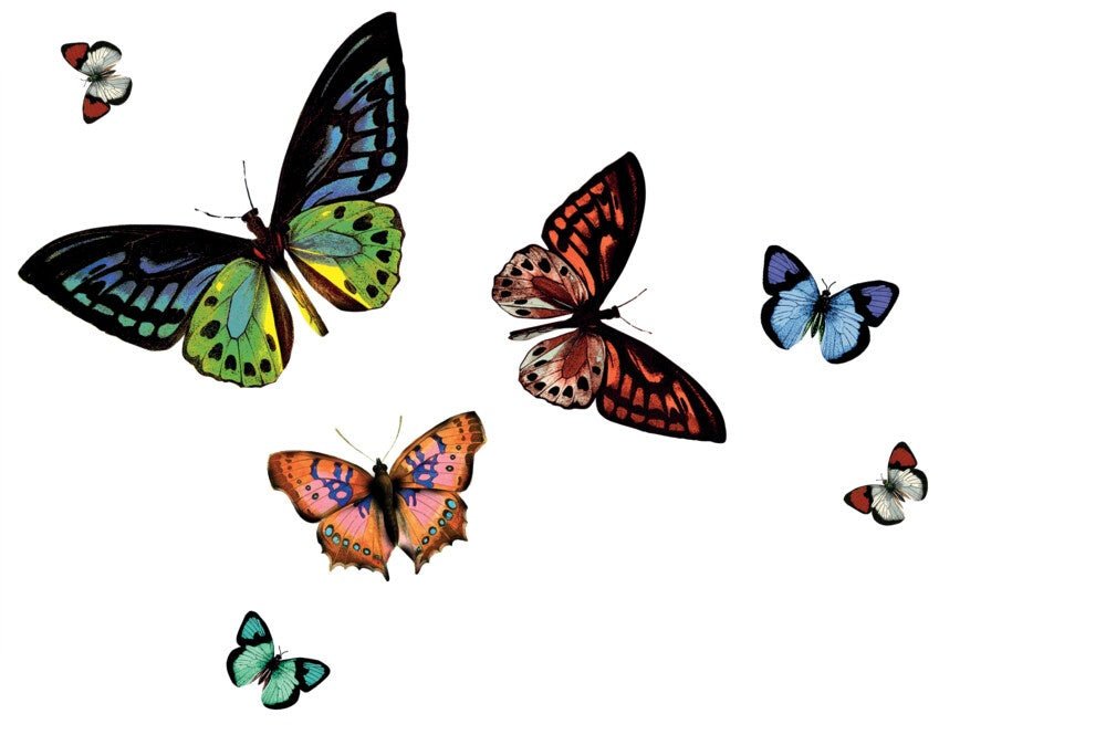 d-c-fixÂ® Rio Placemat - Butterfly Transparent