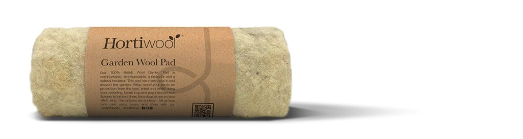 Starter Wool Pad