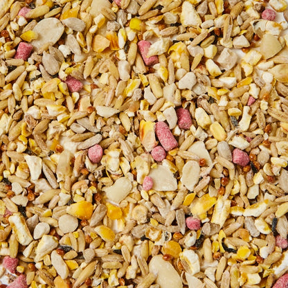 Ambassador Woodland Crumble