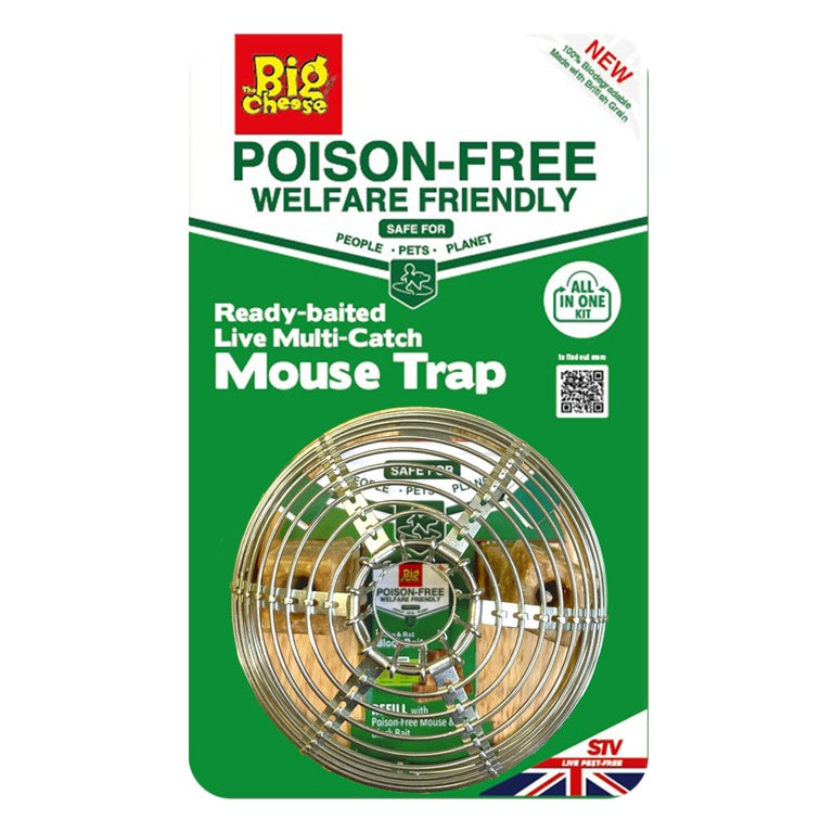 The Big Cheese Poison Free Ready Baited Live Mouse Trap
