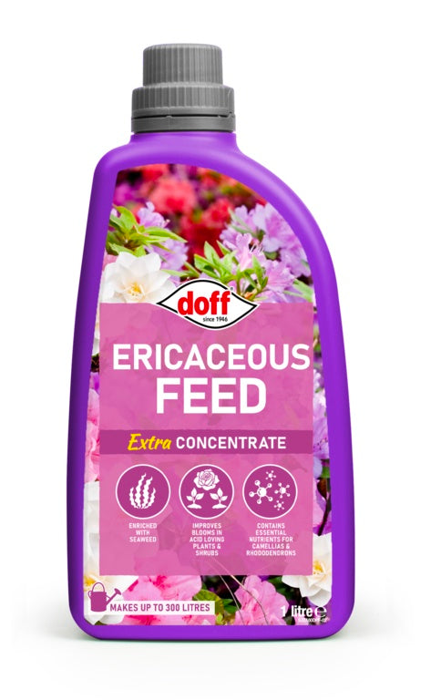 Doff Azalea Camillia & Rhodedendron Feed Concentrate 1L Concentrate