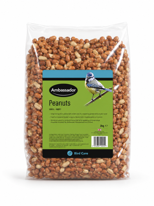 Ambassador Peanuts 2kg