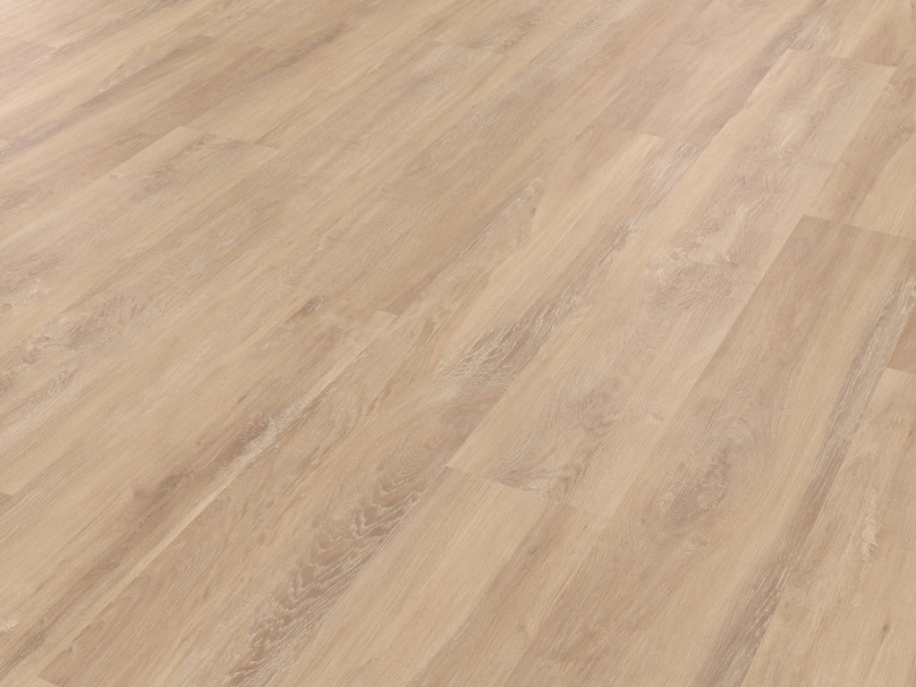 Palio Rigid Hamden