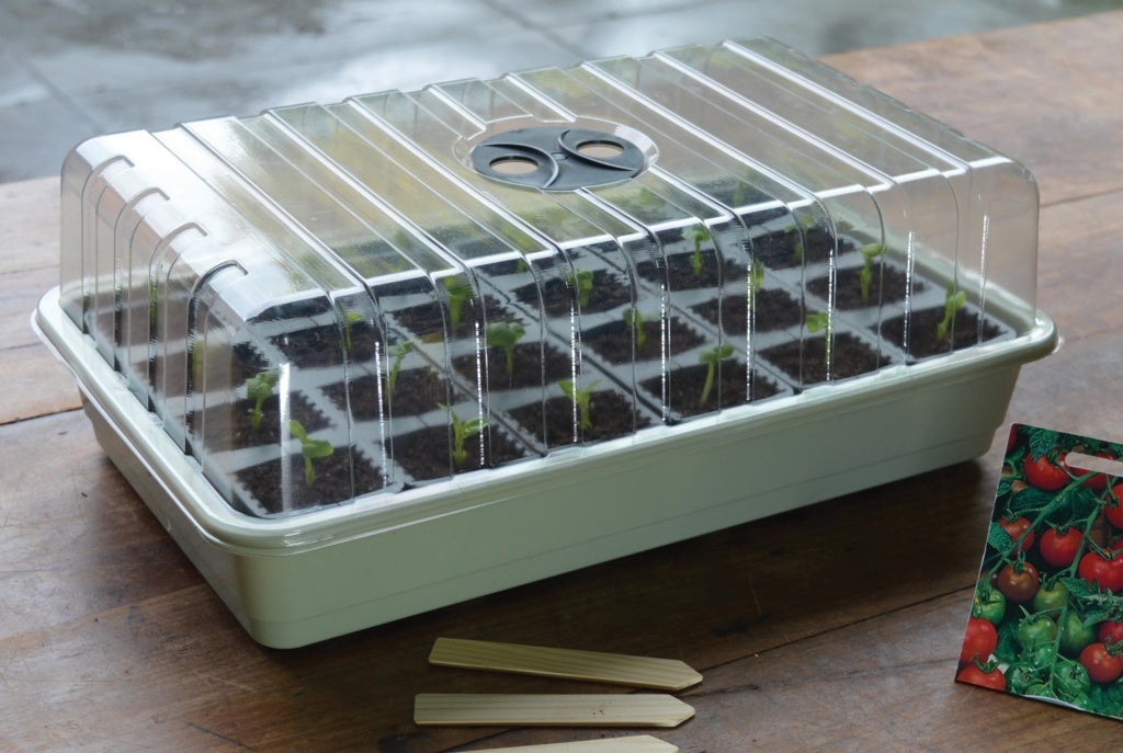 24 Cell Fast Root Success Kit