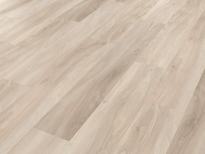 Palio Core Barletti