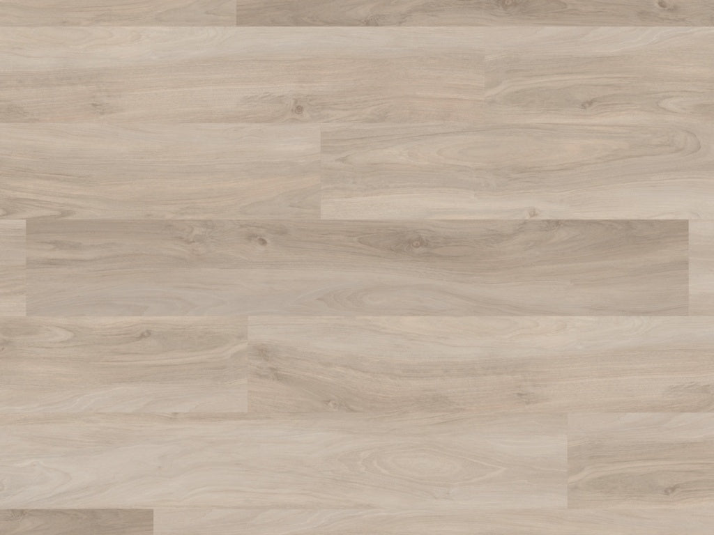 Palio Core Barletti