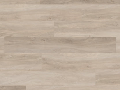 Palio Core Barletti
