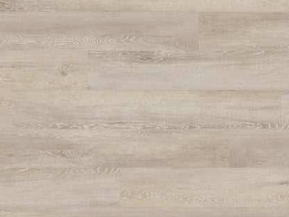 Palio Gluedown Palmaria