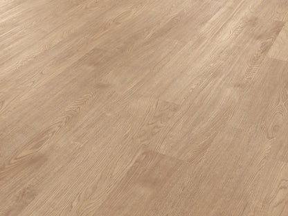 Palio Gluedown Tavolara