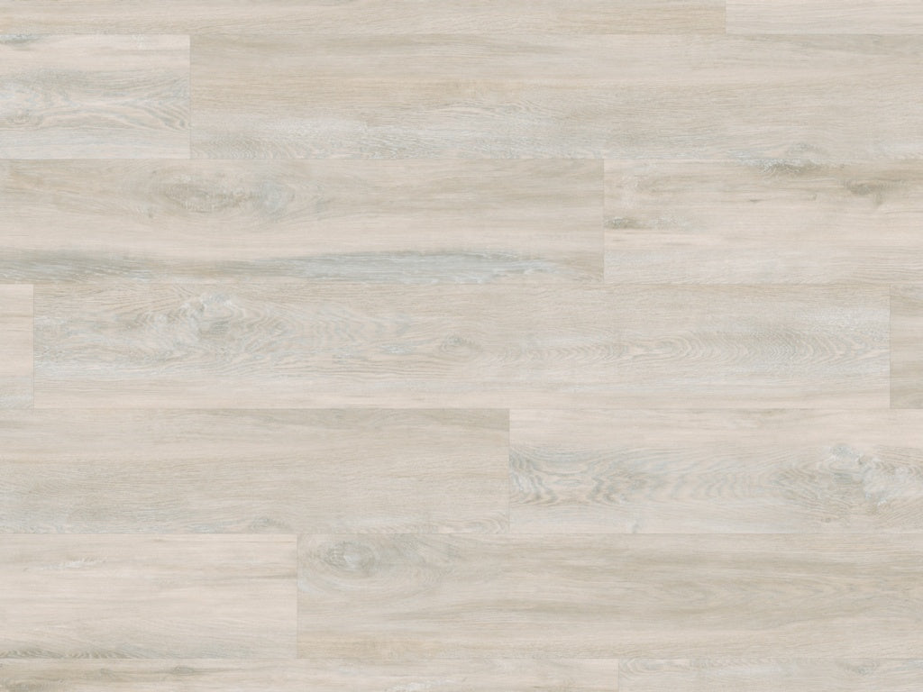 Palio Gluedown Salina