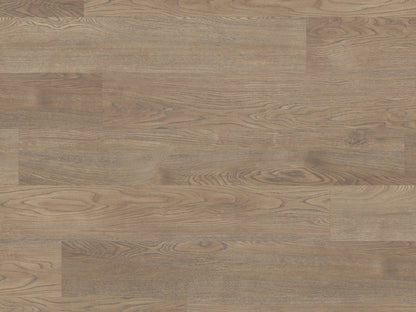 Palio Gluedown Budelli