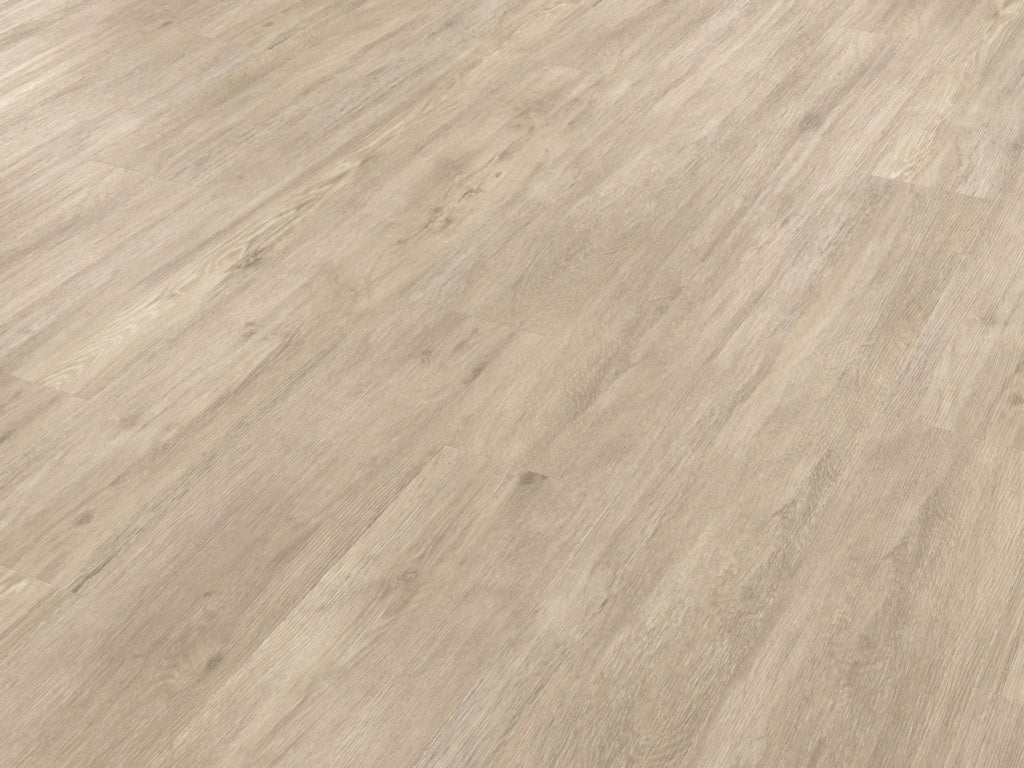 Palio Gluedown Lampione