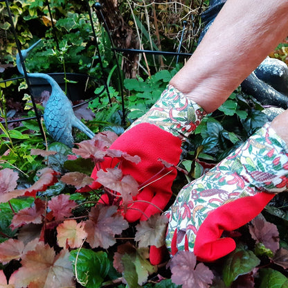 Town & Country Ladies Chilli Gloves