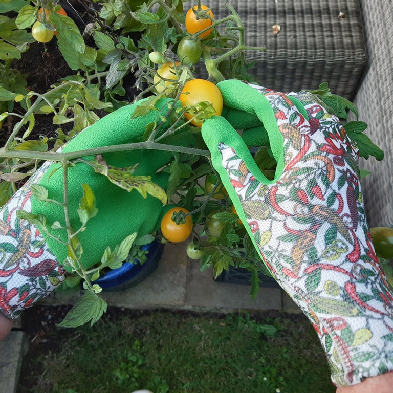 Town & Country Ladies Chilli Gloves