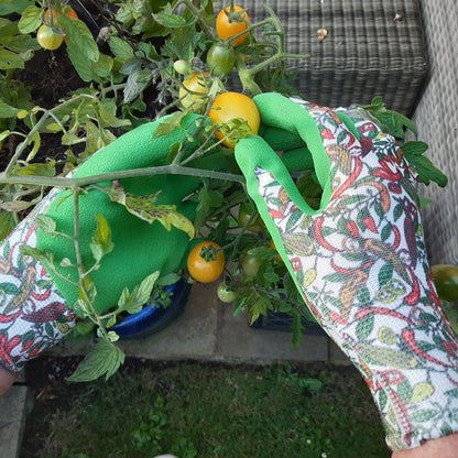 Town & Country Ladies Chilli Gloves