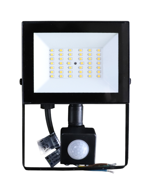 Securlec LED Floodlight 30w