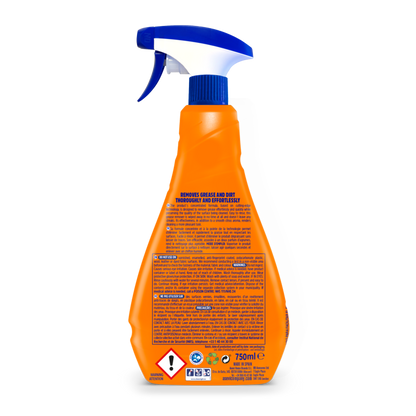 Asevi Disinfectant Grease Remover Spray