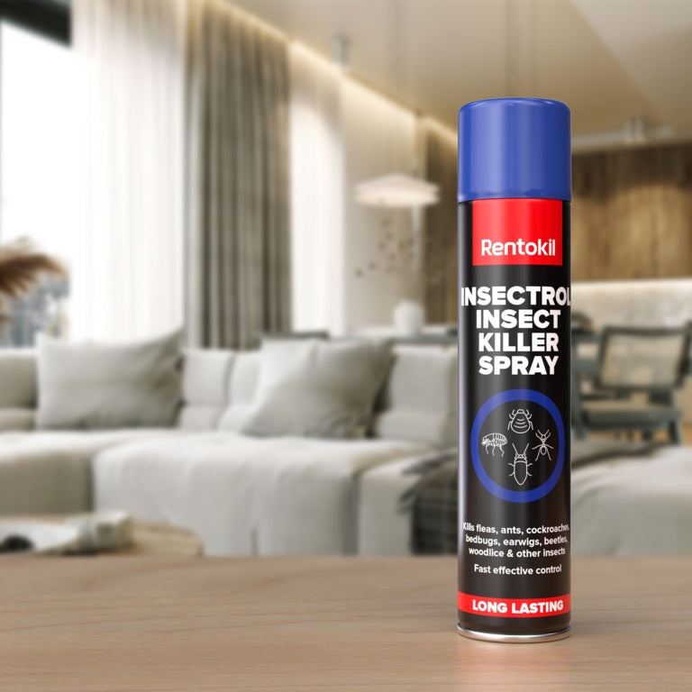 Rentokil Insectrol Insect Killer Spray 300ml